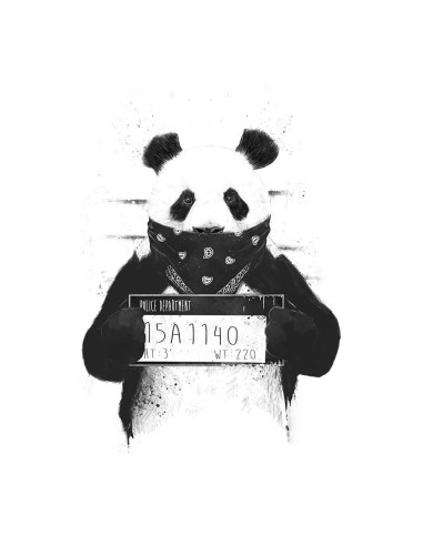 BS Bad Panda