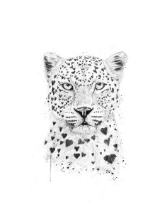 BS Love leopard