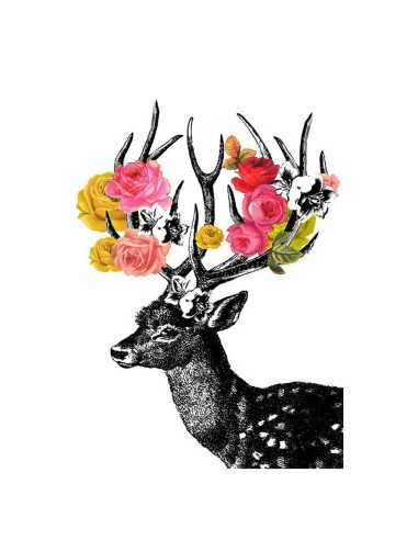 Cerf fleurs