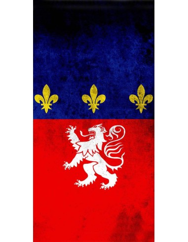 Drapeau Lyon