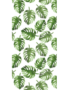 Feuilles de Monstera