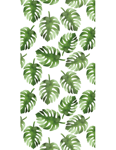 Feuilles de Monstera