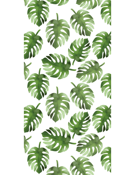 Feuilles de Monstera