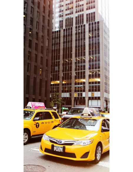 NY Taxi