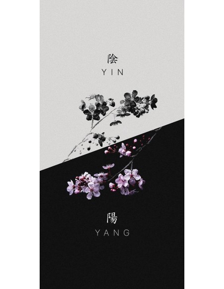 Yin et Yang
