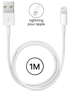 Cable USB Lightning pour Apple iPhone / iPad 1m 2A - Blanc