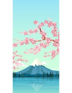 Mont Fuji - OnePlus 5T