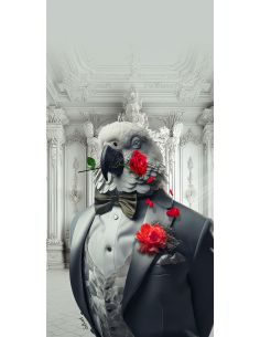 Perroquet Luxury