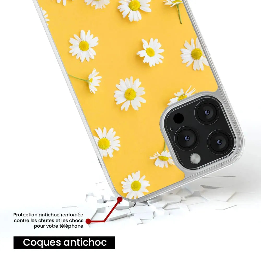 Marguerittes 