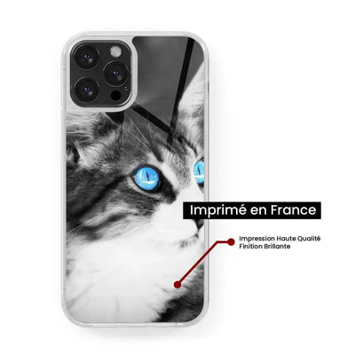 Chat yeux bleu 