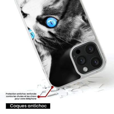 Chat yeux bleu 
