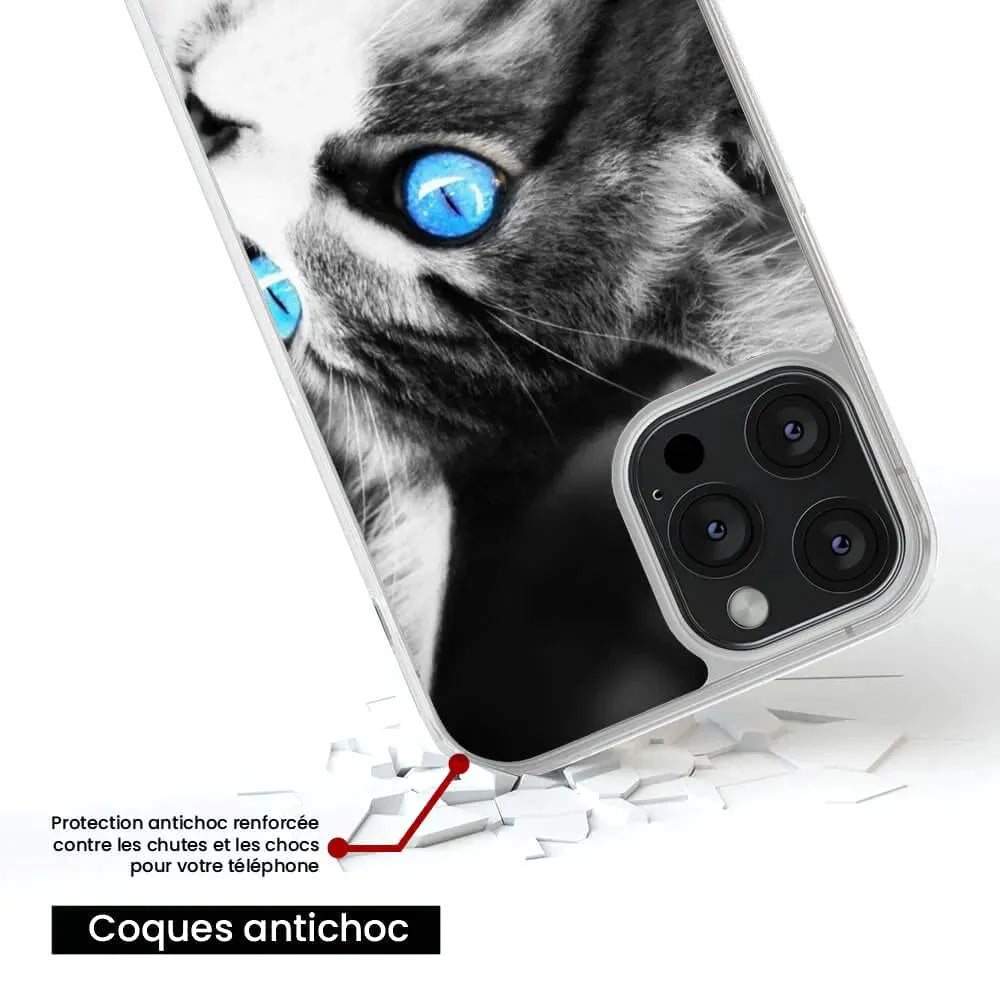 Chat yeux bleu 