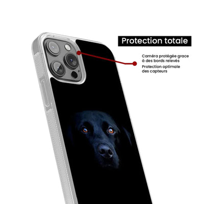 Chien noir 