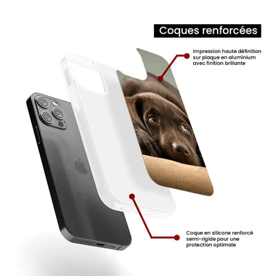 Chiot marron 