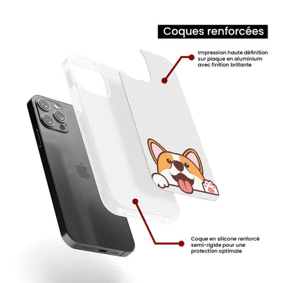 Coucou Corgi 