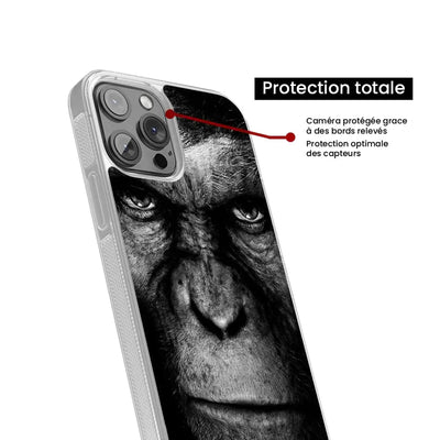 Singe 