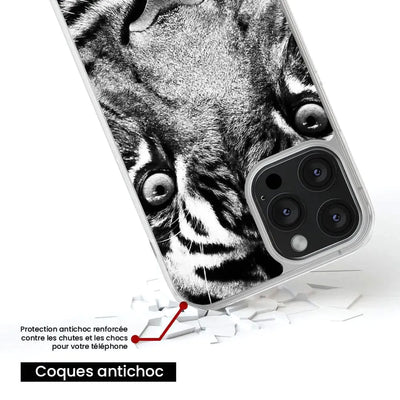 Tigre blanc et noir 