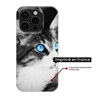 Chat yeux bleu 