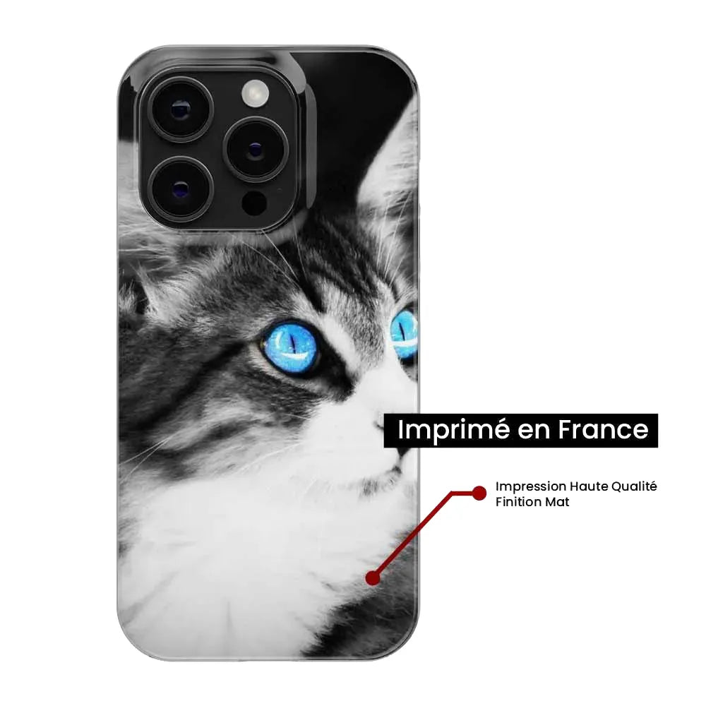 Chat yeux bleu 