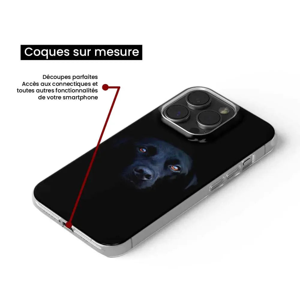 Chien noir 