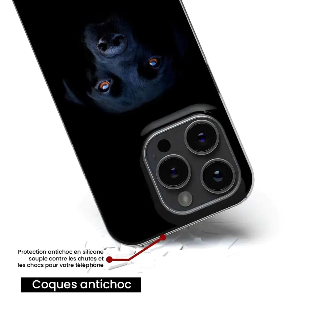 Chien noir 