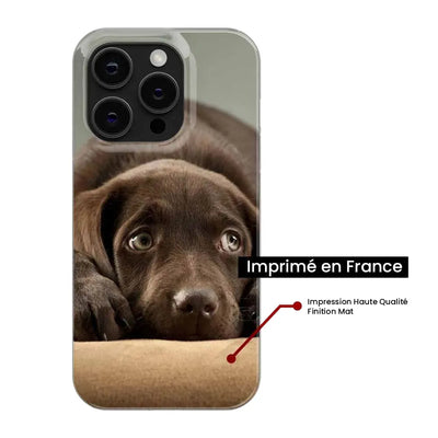 Chiot marron 