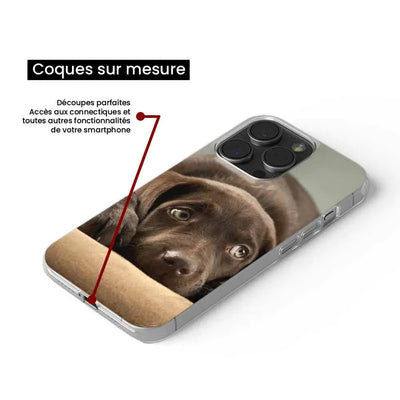 Chiot marron 