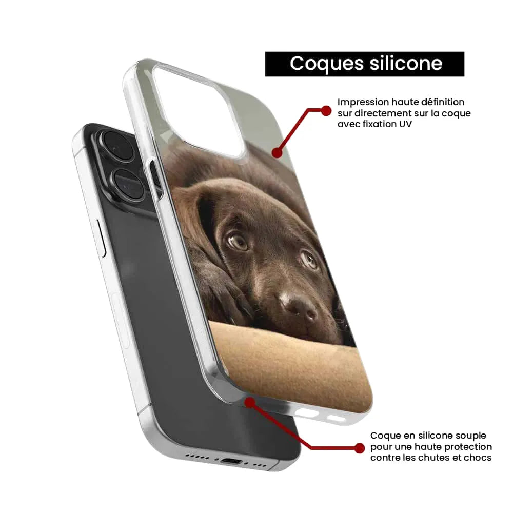 Chiot marron 