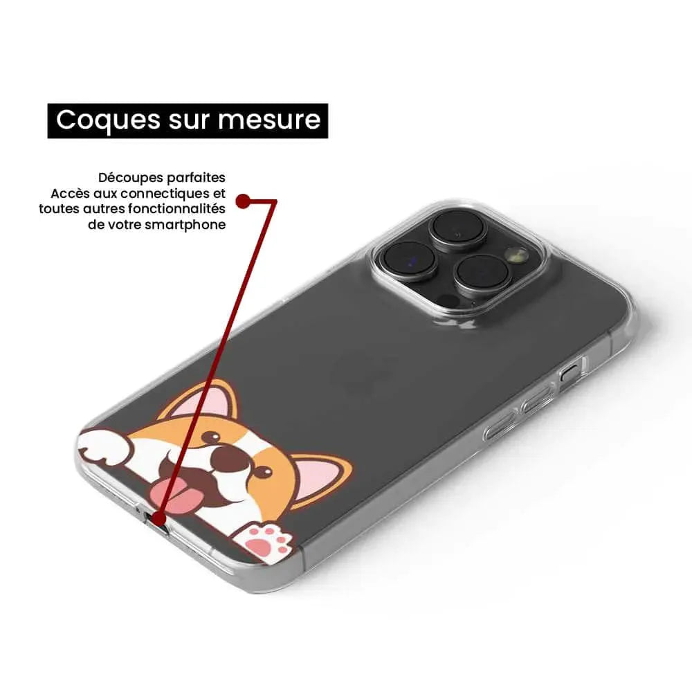 Coucou Corgi 