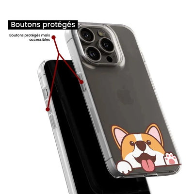 Coucou Corgi 