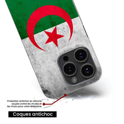 Drapeau Algérie 
