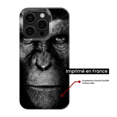 Singe 
