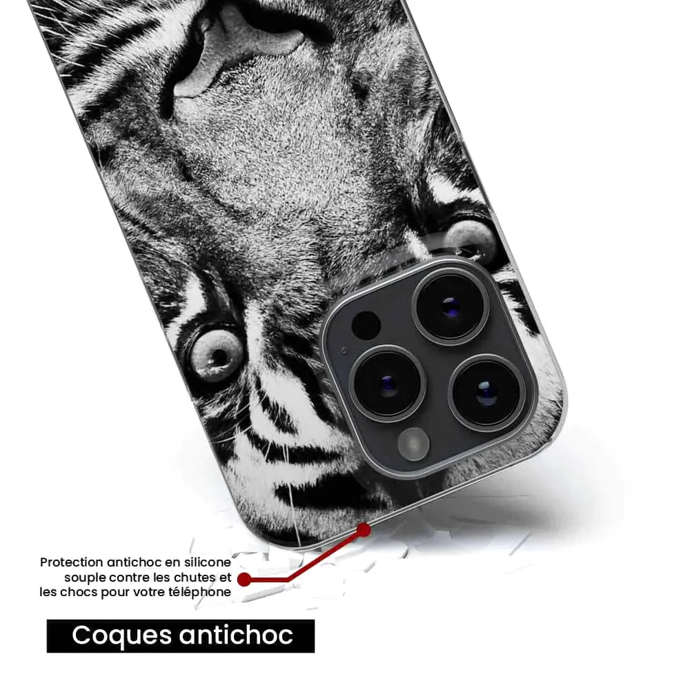 Tigre blanc et noir 