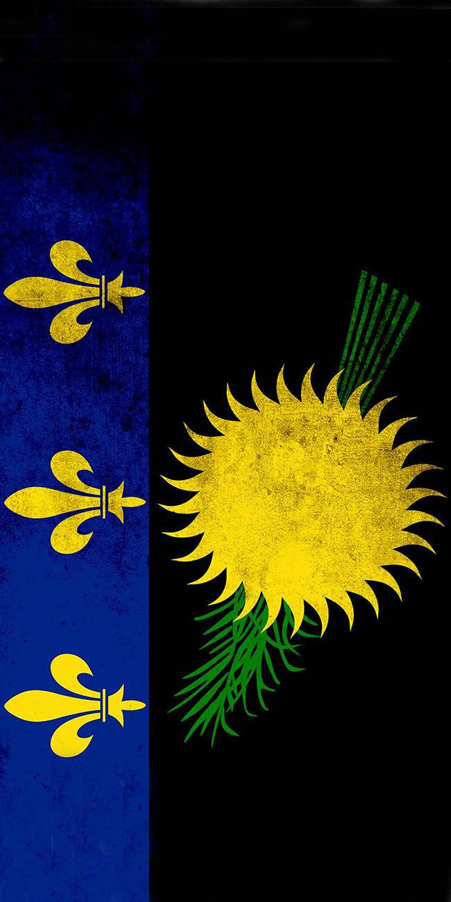 Drapeau Guadeloupe