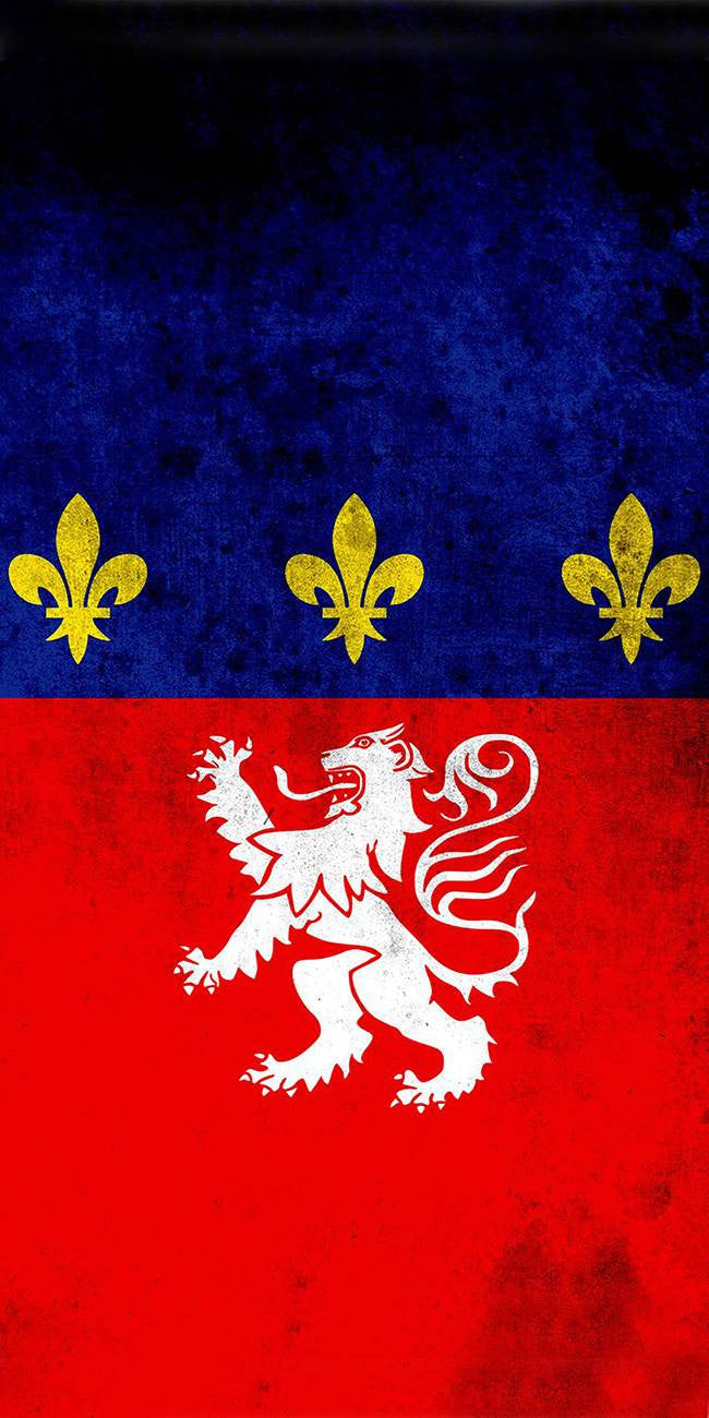 Drapeau Lyon