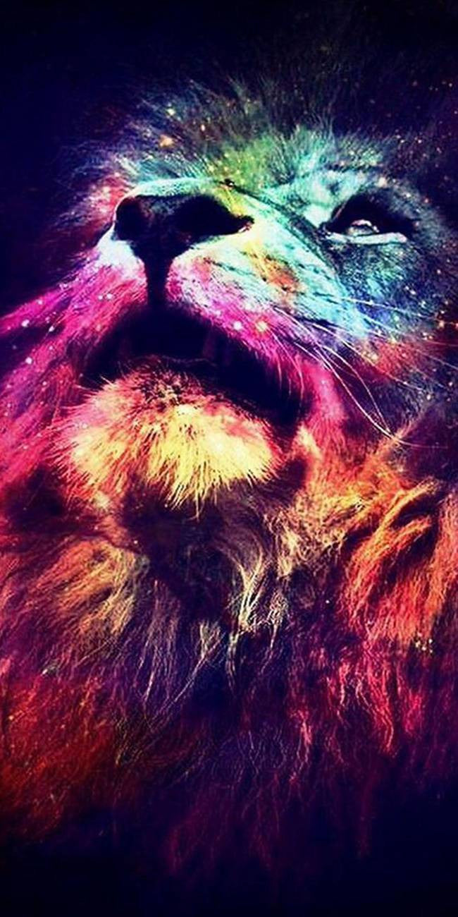 Lion swag
