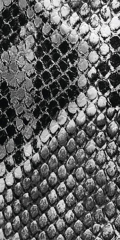 Texture Python