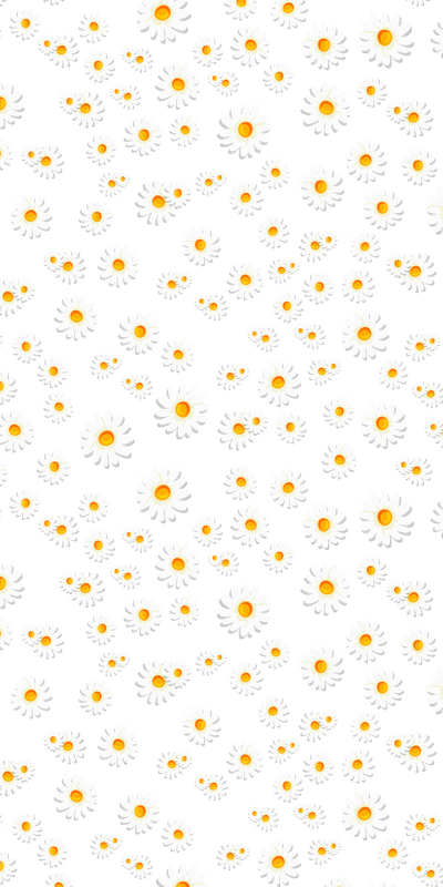 Daisy