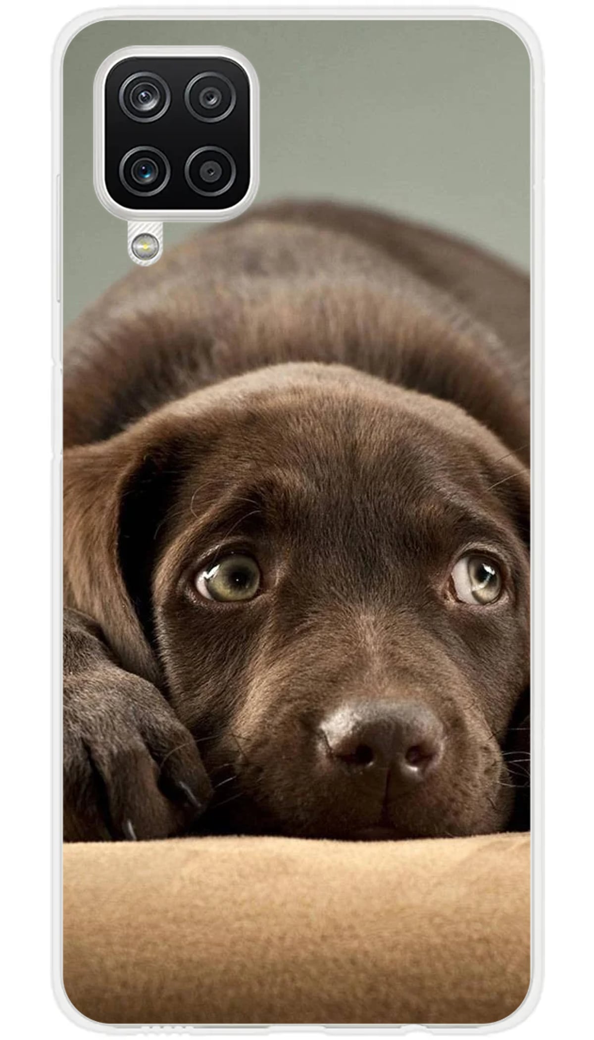 Coque Samsung Chiot marron - Galaxy A12 5G