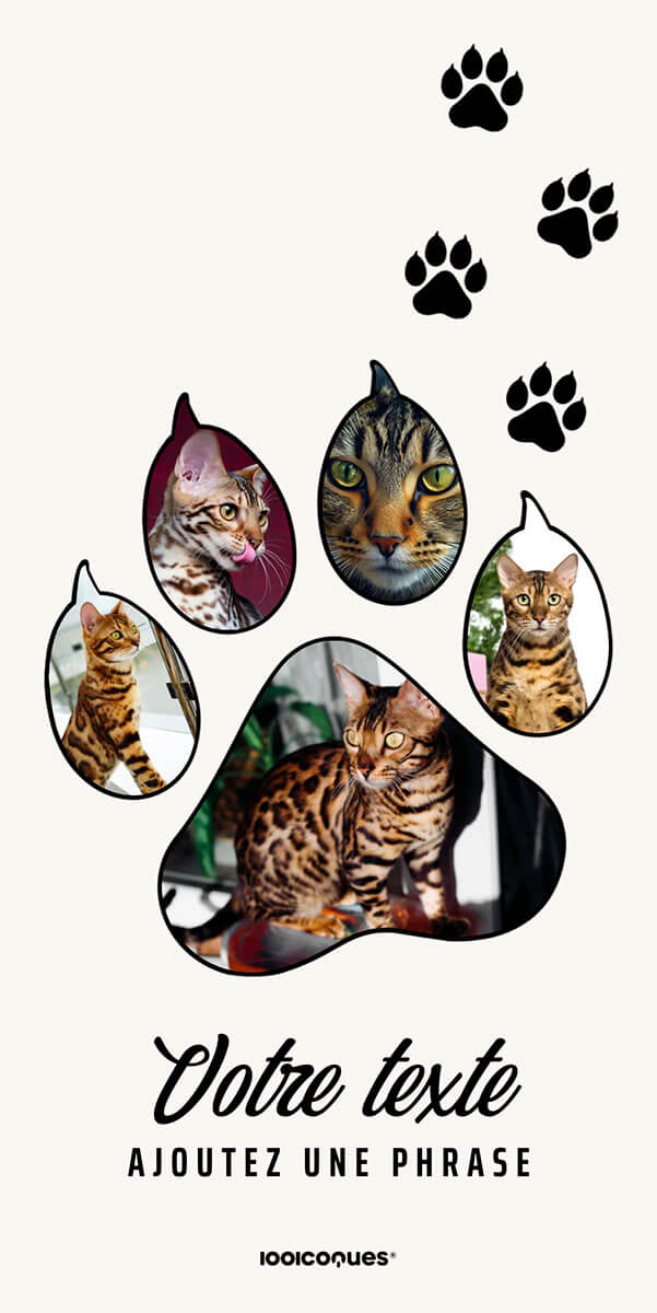 Coque personnalisée Sony Pattes de Chat