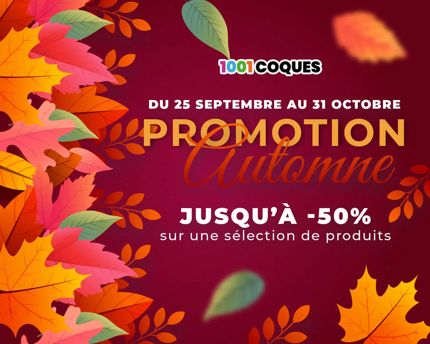 Promotion 1001 coques